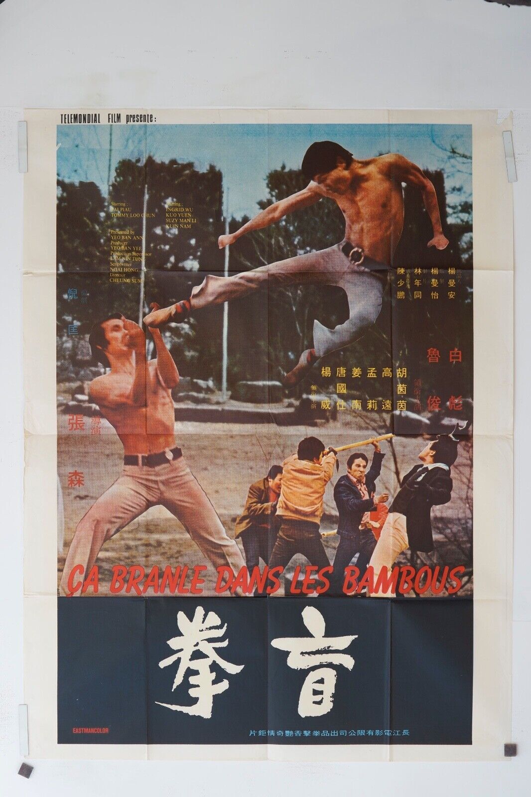 CA BRANLE DANS LES BAMBOUS MOVIE POSTER ORIGINAL 120x160