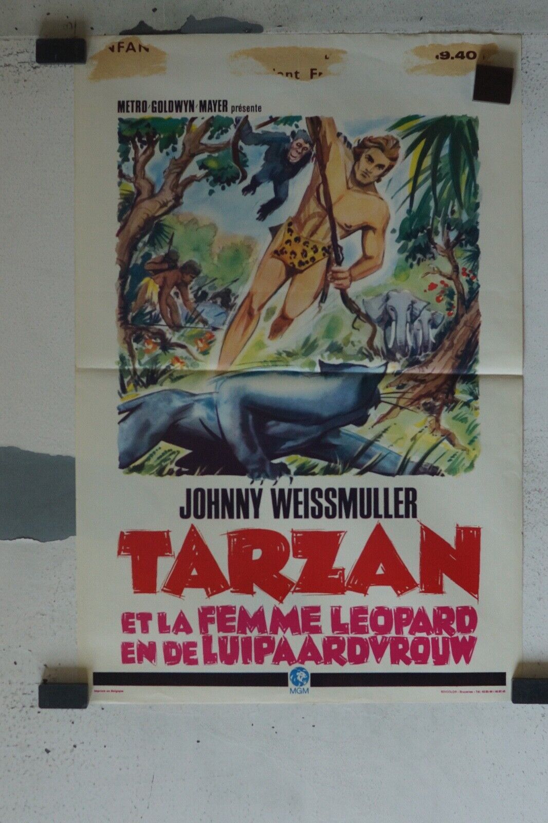 TARZAN ORIGINAL MOVIE POSTER 55X37 JOHNNY WEISSMULLER