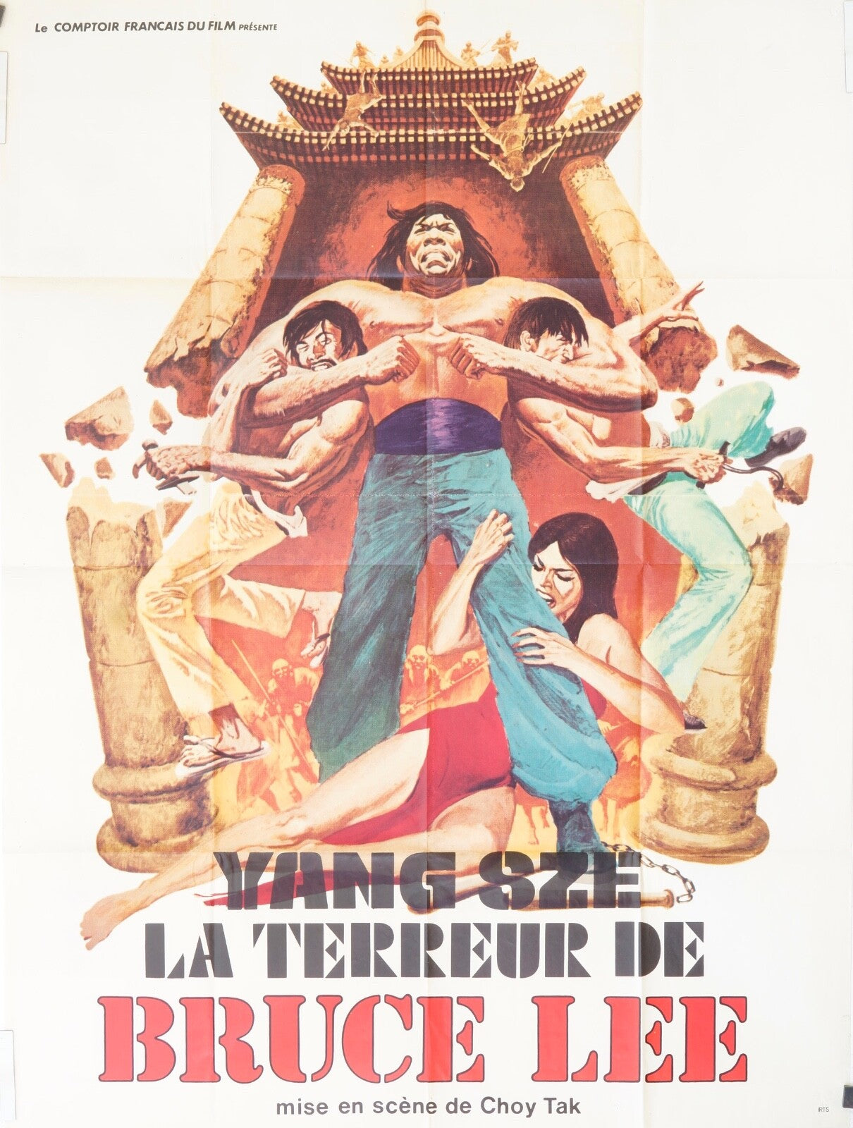 LA TERREUR DE BRUCE LEE MOVIE POSTER ORIGINAL (120X160) YANG SZE