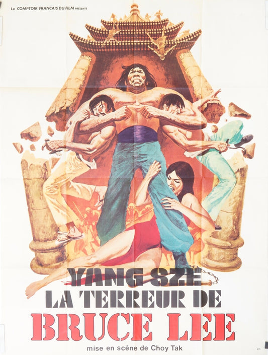 LA TERREUR DE BRUCE LEE MOVIE POSTER ORIGINAL (120X160) YANG SZE