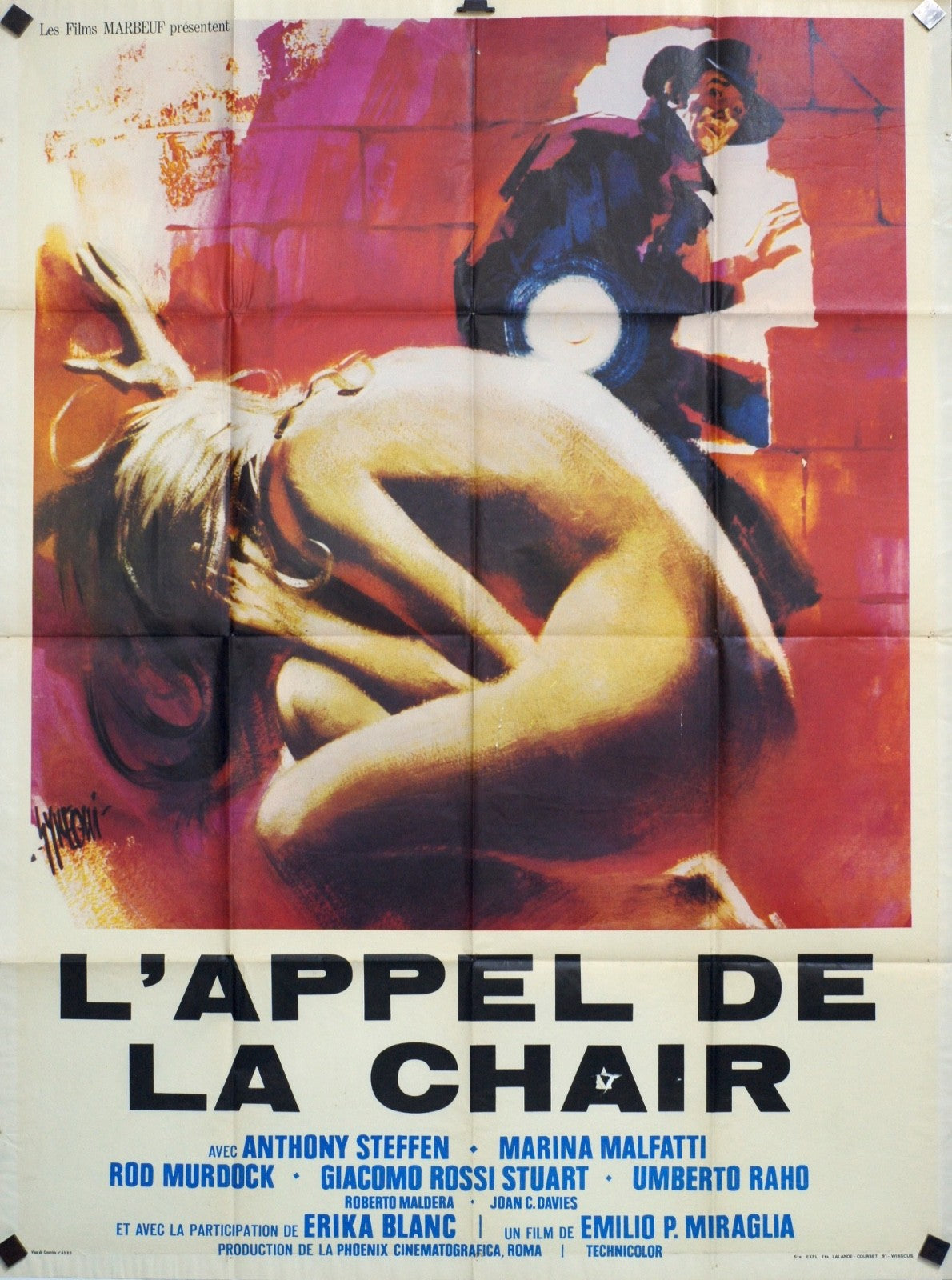 L’APPEL DE LA CHAIR ANTHONY STEFFEN MOVIE POSTER ORIGINAL 120x160