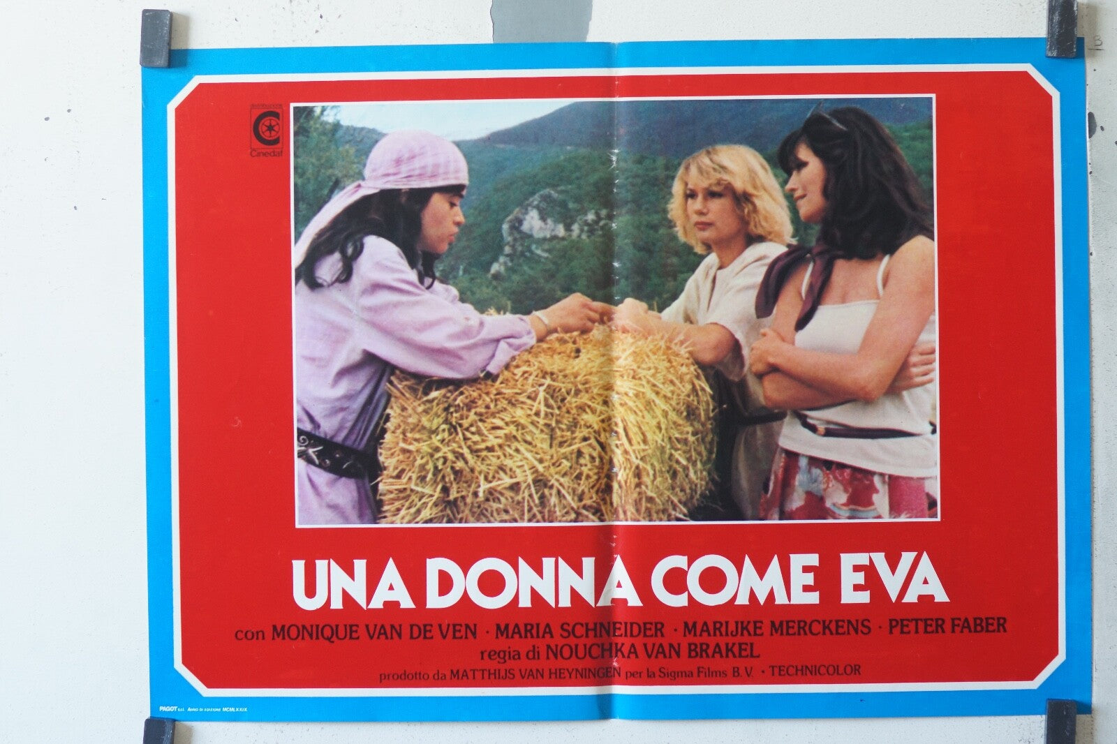 DANS L’ENFER DE CORREGIDOR MOVIE POSTER ORIGINAL 55x37 Dennis Weaver , Vera 