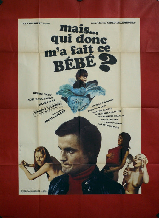 MAIS…QUI DONC M’A FAIT CE BÉBÉ ? DENISE GREY movie poster ORIGINAL 120x160