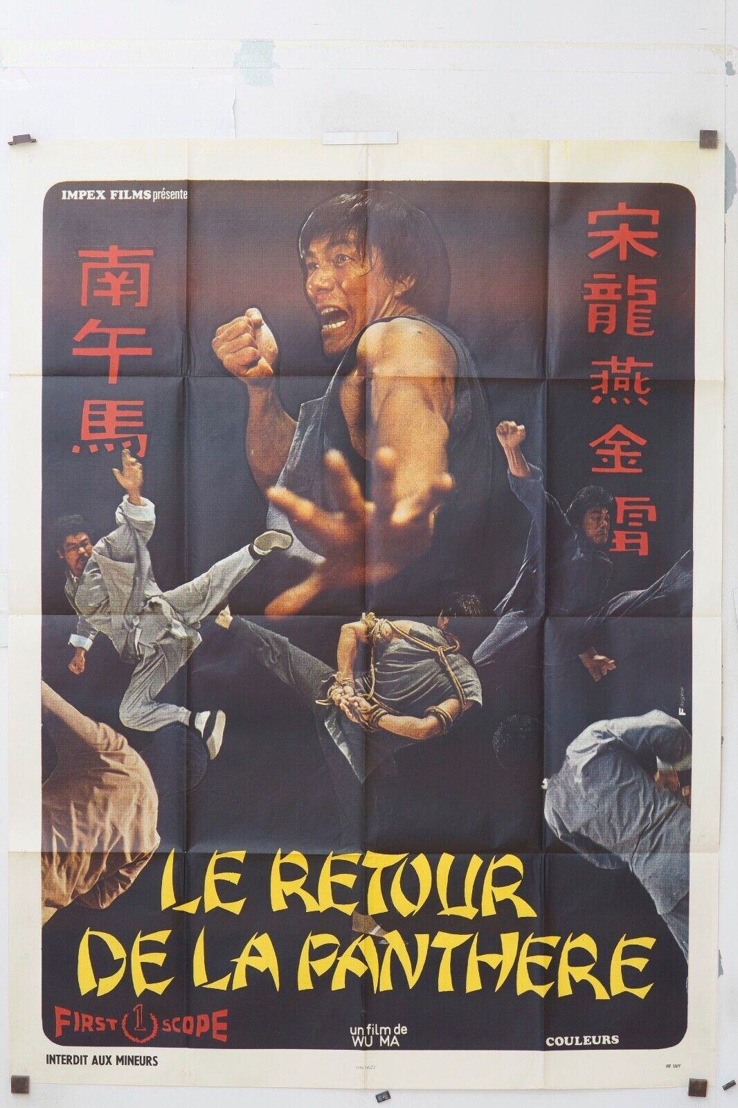 LA RETOUR DE LA PANTHÈRE, KUNG FU, KARATÉ, MOVIE POSTER ORIGINAL 120x160 CHAN