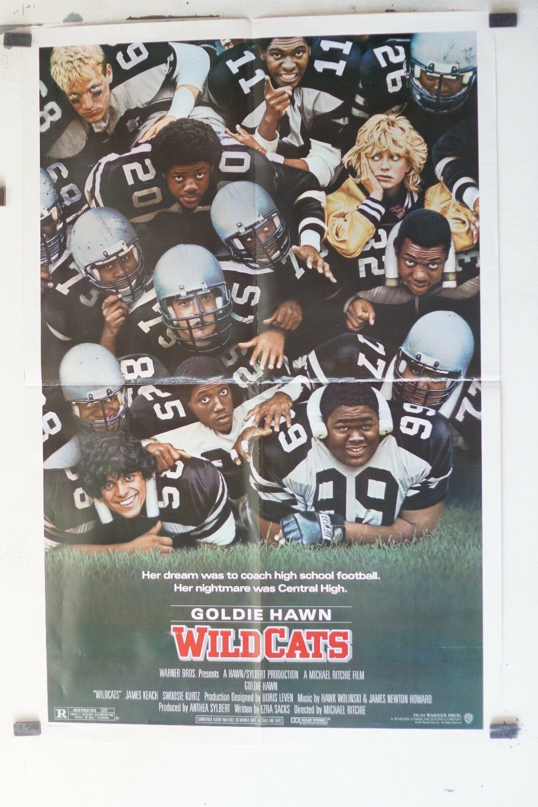WILD CATS (MOVIE POSTER ORIGINA) 69x103, Goldie Hawn