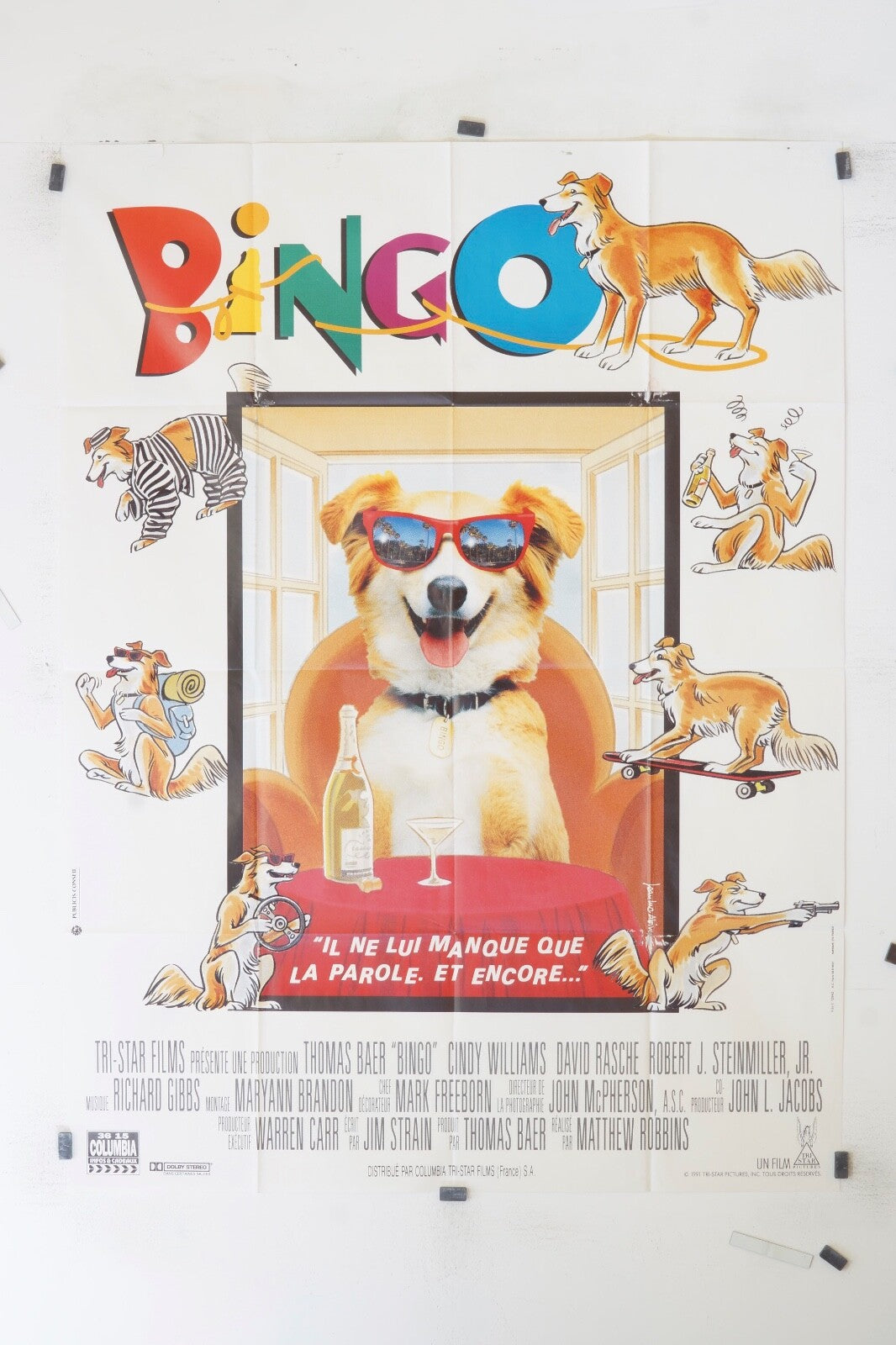 BINGO CINDY WILLIAMS MOVIE POSTER ORIGINAL 120x160