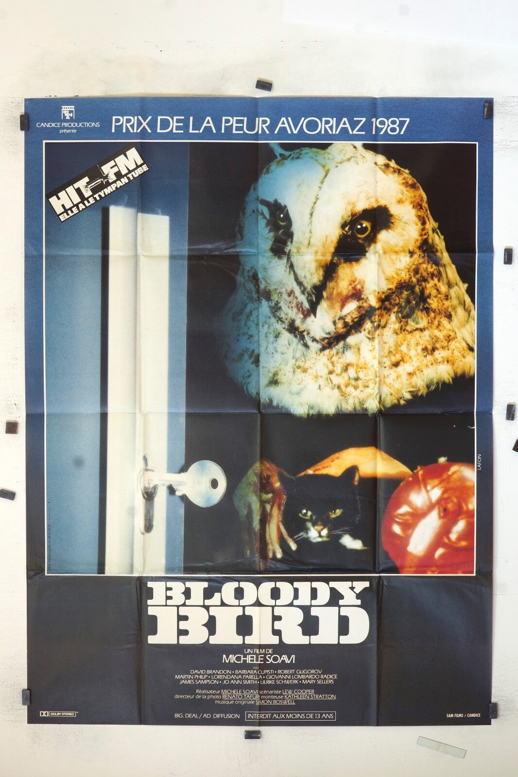 BLOODY BIRD MICHELE SOAVI ORIGINAL MOVIE POSTER 120x160