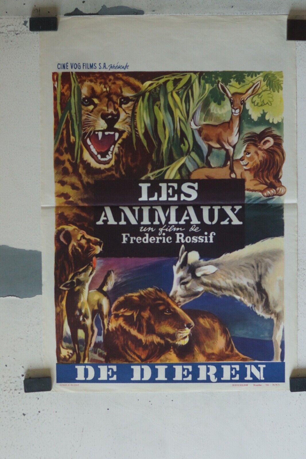 LES ANIMAUX ORIGINAL MOVIE POSTER 55X37 FREDERIC ROSSIF