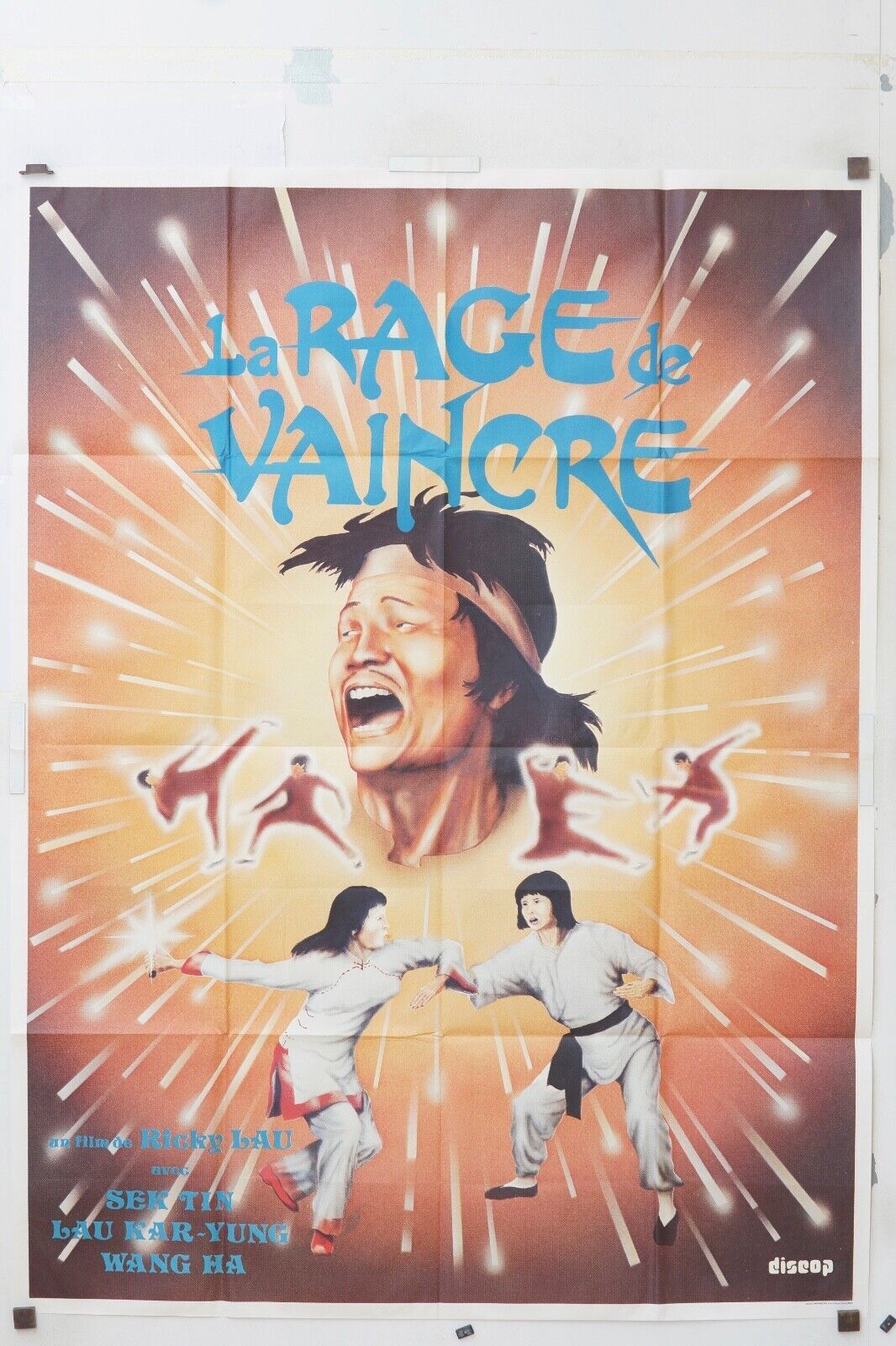 LA RAGE DE VAINCRE, KUNG FU, KARATÉ MOVIE POSTER ORIGINAL 120x160 SEK TIN