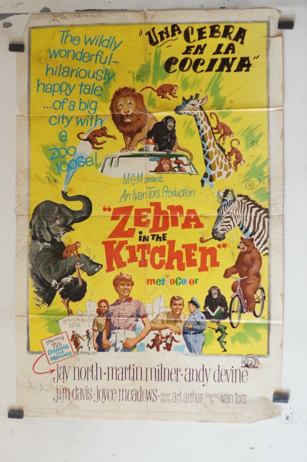  ZEBRA IN THE KITCHEN movie poster ORIGINAL (69x103), Ivan Tors, Jay North