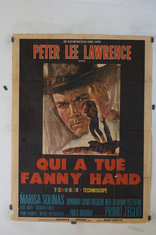 QUI A TUÉ FANNY HAND PETER LEE LAWRENCE ORIGINAL 120x160