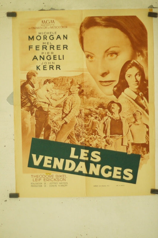 LES VENDANGES MOVIE POSTER ORIGINAL (60X80) MICHEL MORGAN – MEL FERRER