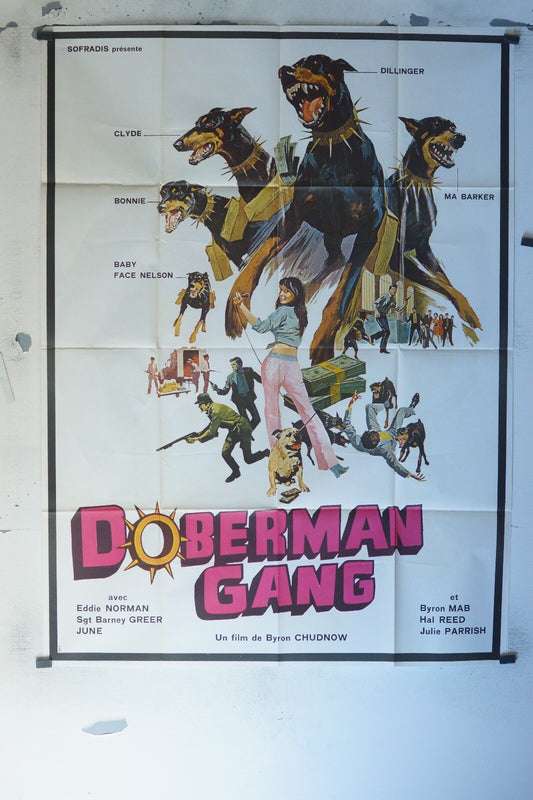 DOBERMAN GANG MOVIE POSTER ORIGINAL 120x160 EDDIE NORMAN