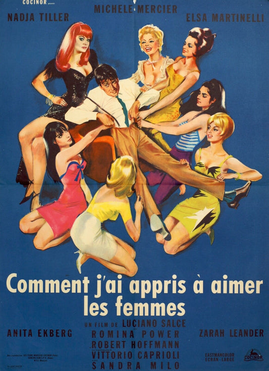  COMMENT J’AI APPRIS A AIMER LES FEMMES (French Version) Original Poster 