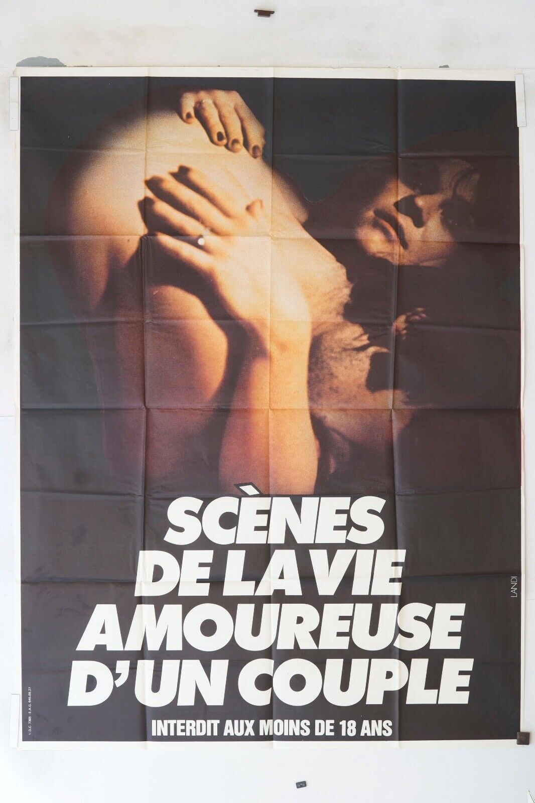 SCÈNES DE LA VIE AMOUREUSE D’UN COUPLE ORIGINAL MOVIE POSTER 120x160