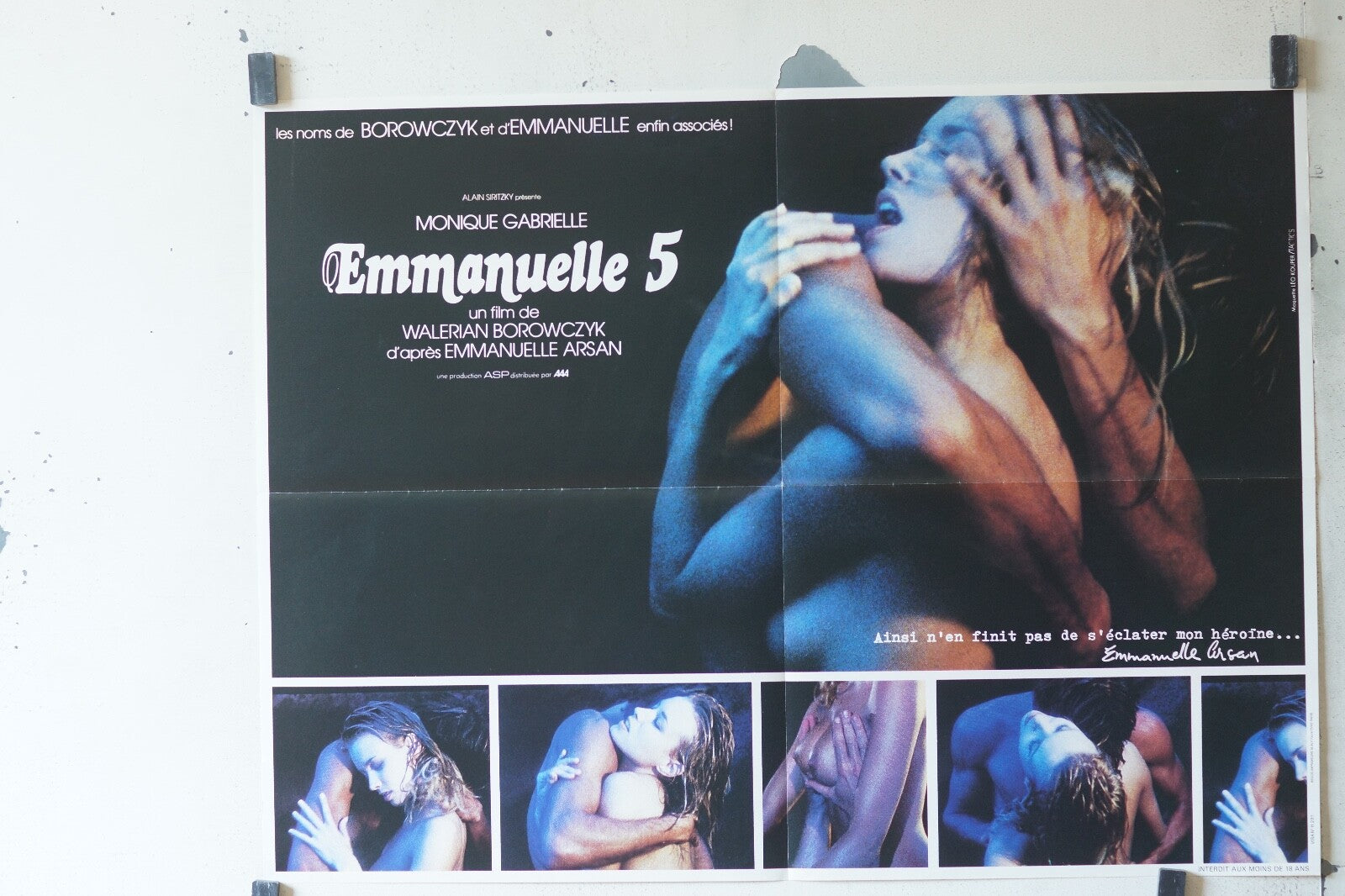 EMMANUELLE 5 MOVIE POSTER ORIGINAL (60X80) Monique gabrielle , Crofton Hardester