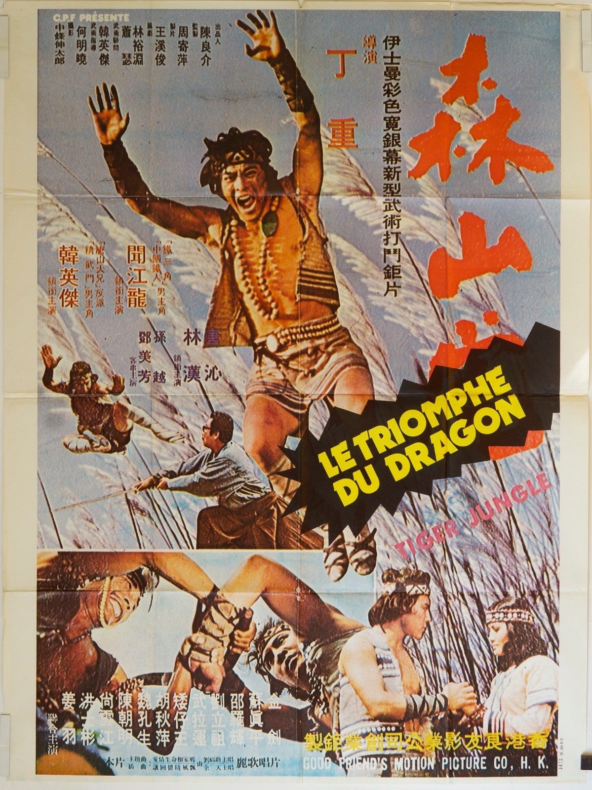 LA TRIOMPHE DU DRAGON ORIGINAL MOVIE POSTER 120x160