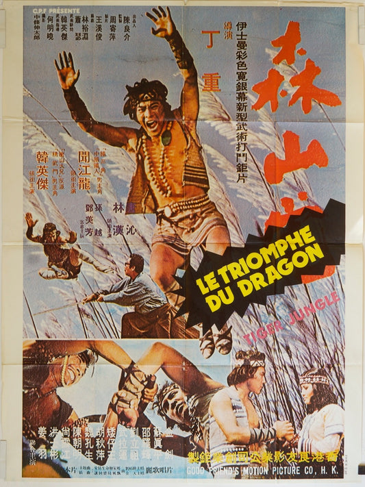 LA TRIOMPHE DU DRAGON ORIGINAL MOVIE POSTER 120x160