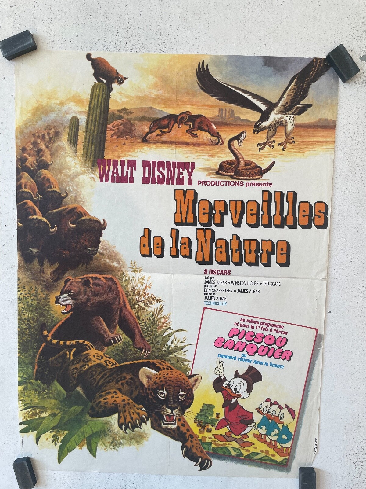 MERVEILLES DE LA NATURE ORIGINAL 40x60 WALT DISNEY