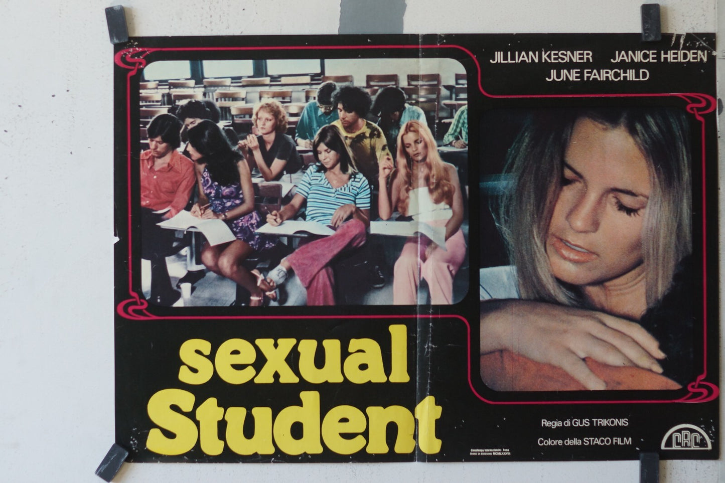 SEXUAL STUDENT ORIGINAL MOVIE POSTER 47X66 Jullian Kesner, Janice Heiden