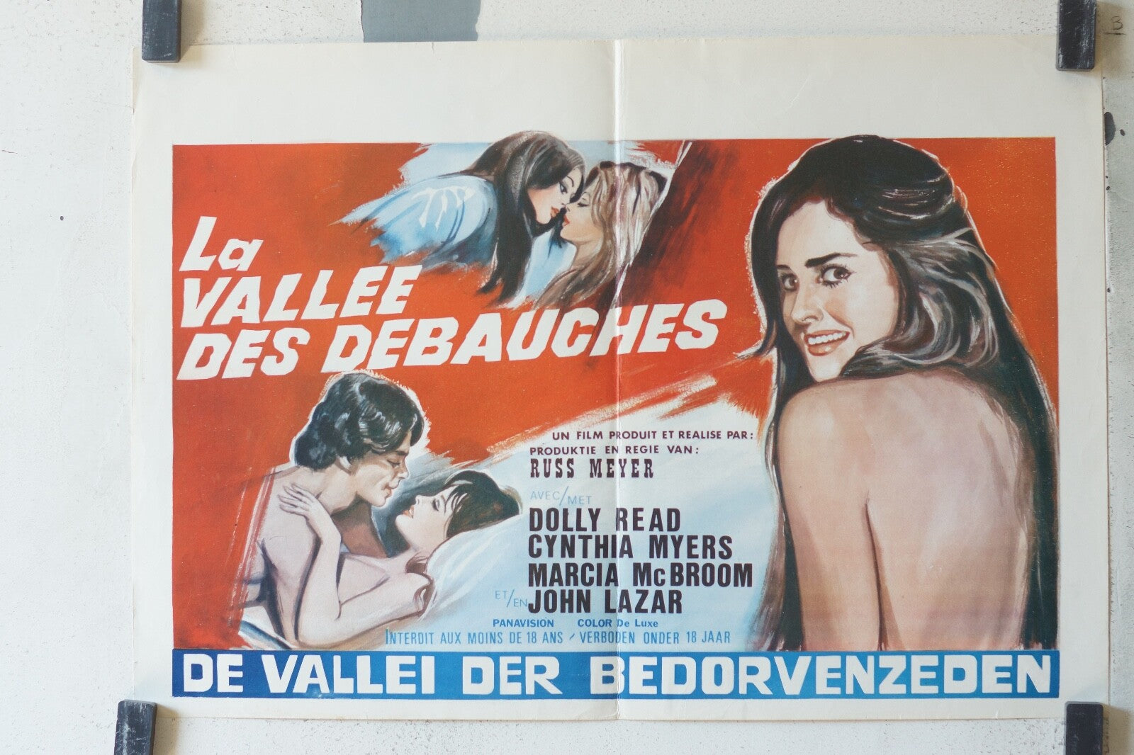  VALLEE DES DEBAUCHES (LA), belge MOVIE POSTER ORIGINAL 53x37 Dolly Read