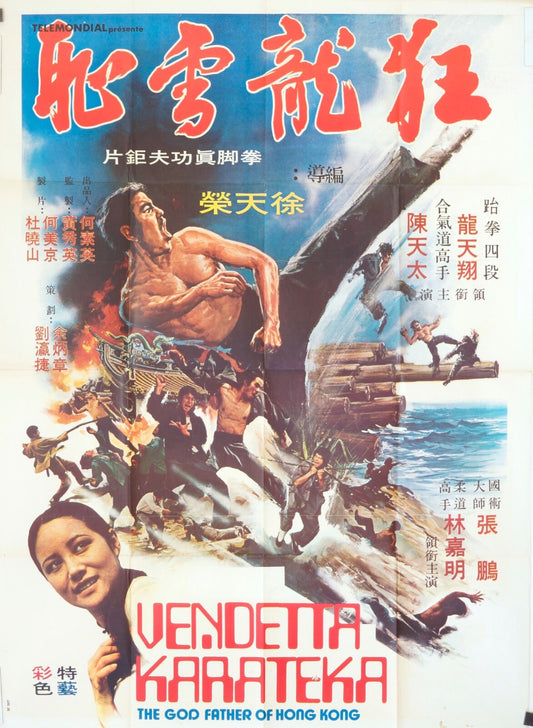 VENDETTA A KARATEKA MOVIE POSTER 120X160