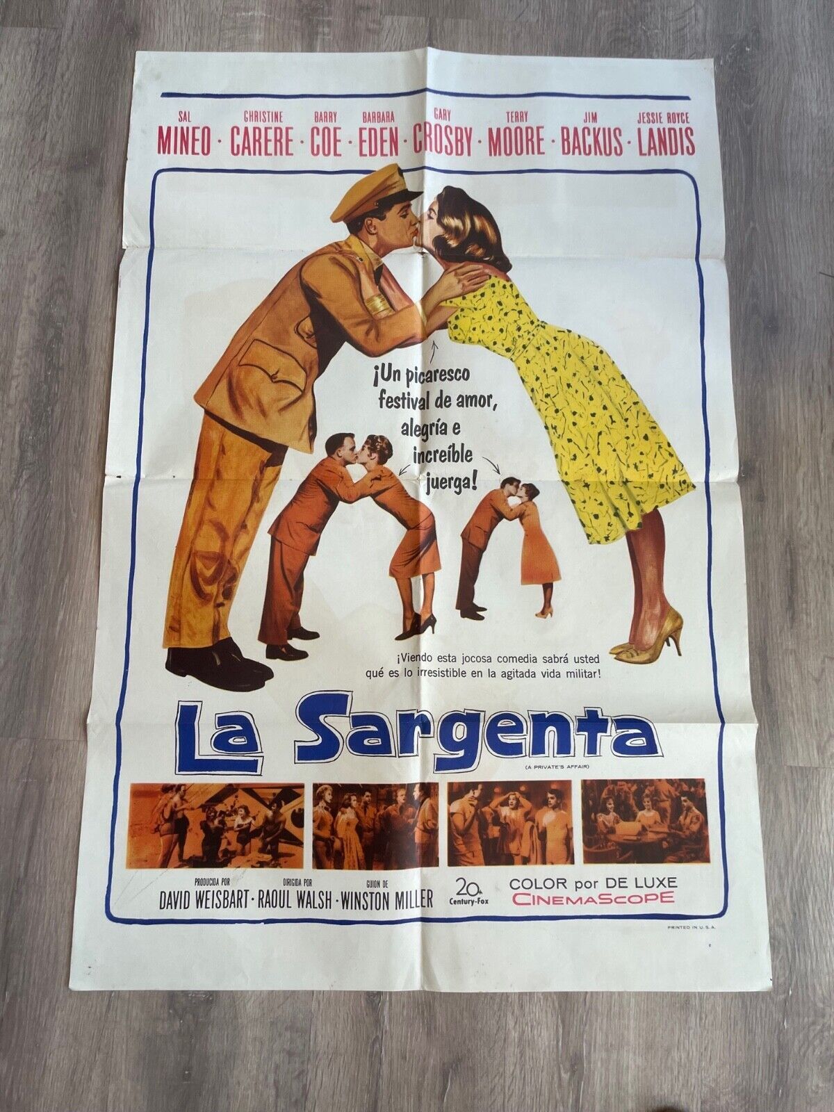 LA SARGENTA 70X100 original SAL MINEO