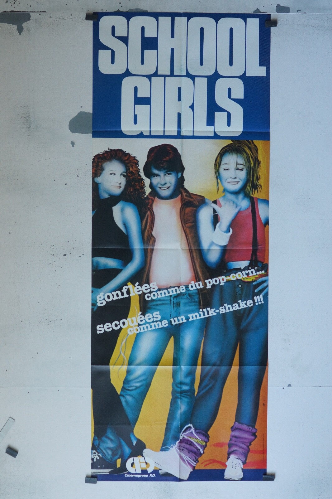 SCHOOL GIRLS MOVIE POSTER ORIGINAL 60x160