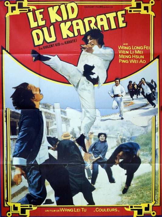 LE KID DU KARATÉ, KUNG FU movie poster ORIGINAL (120x160) WANG LEI TU