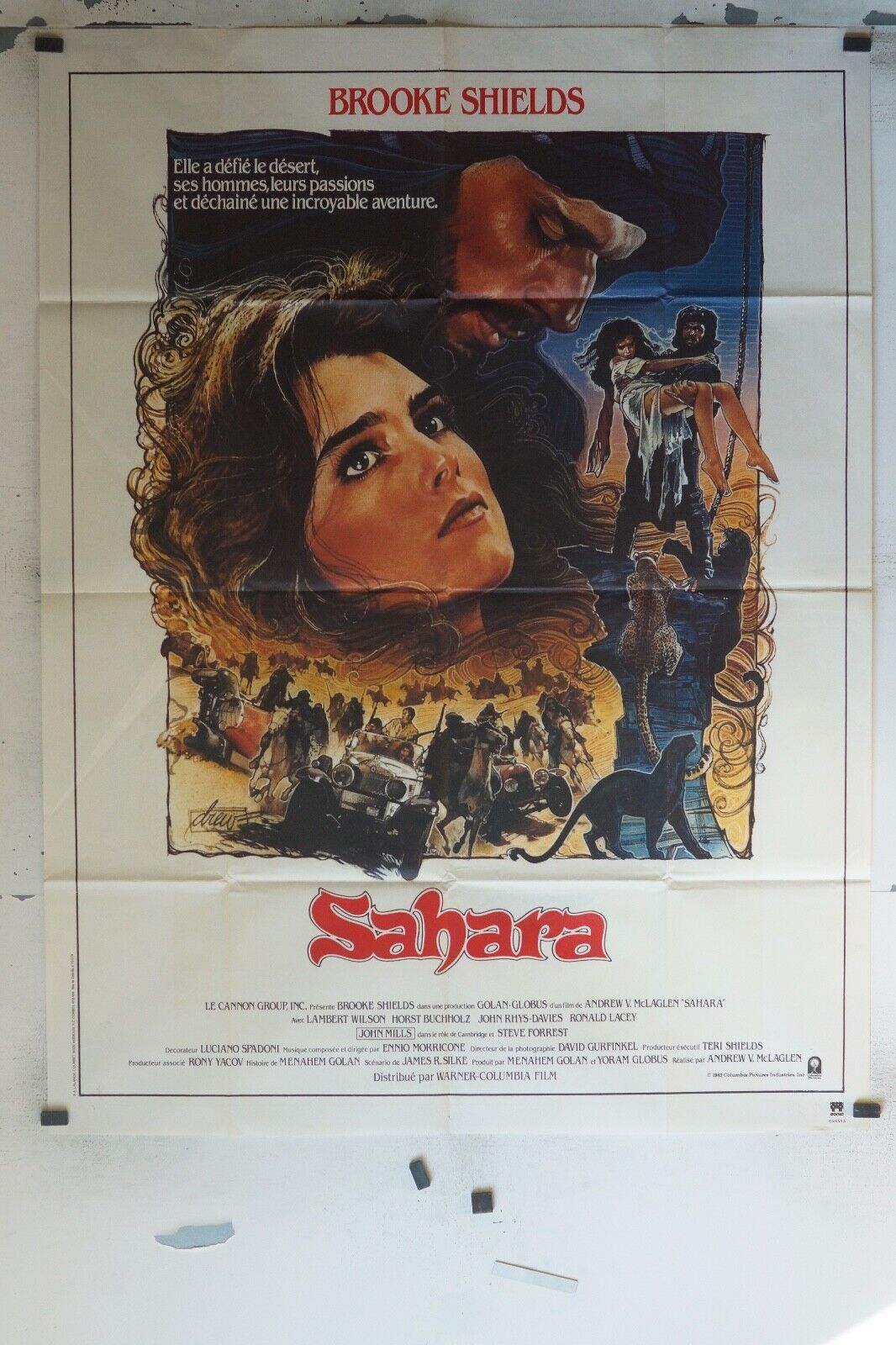 SAHARA MOVIE POSTER ORIGINAL 120x160 BROOKE SHIELDS