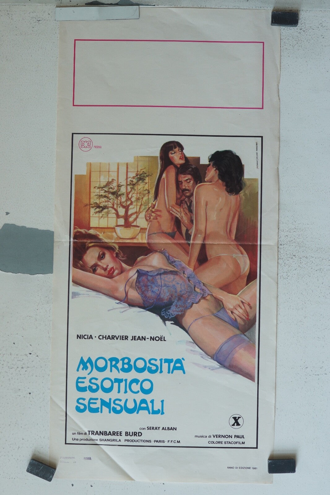 MORBOSITA ESOTICA SENSUALI, MOVIE POSTER EROTIC, (35X70) NICIA