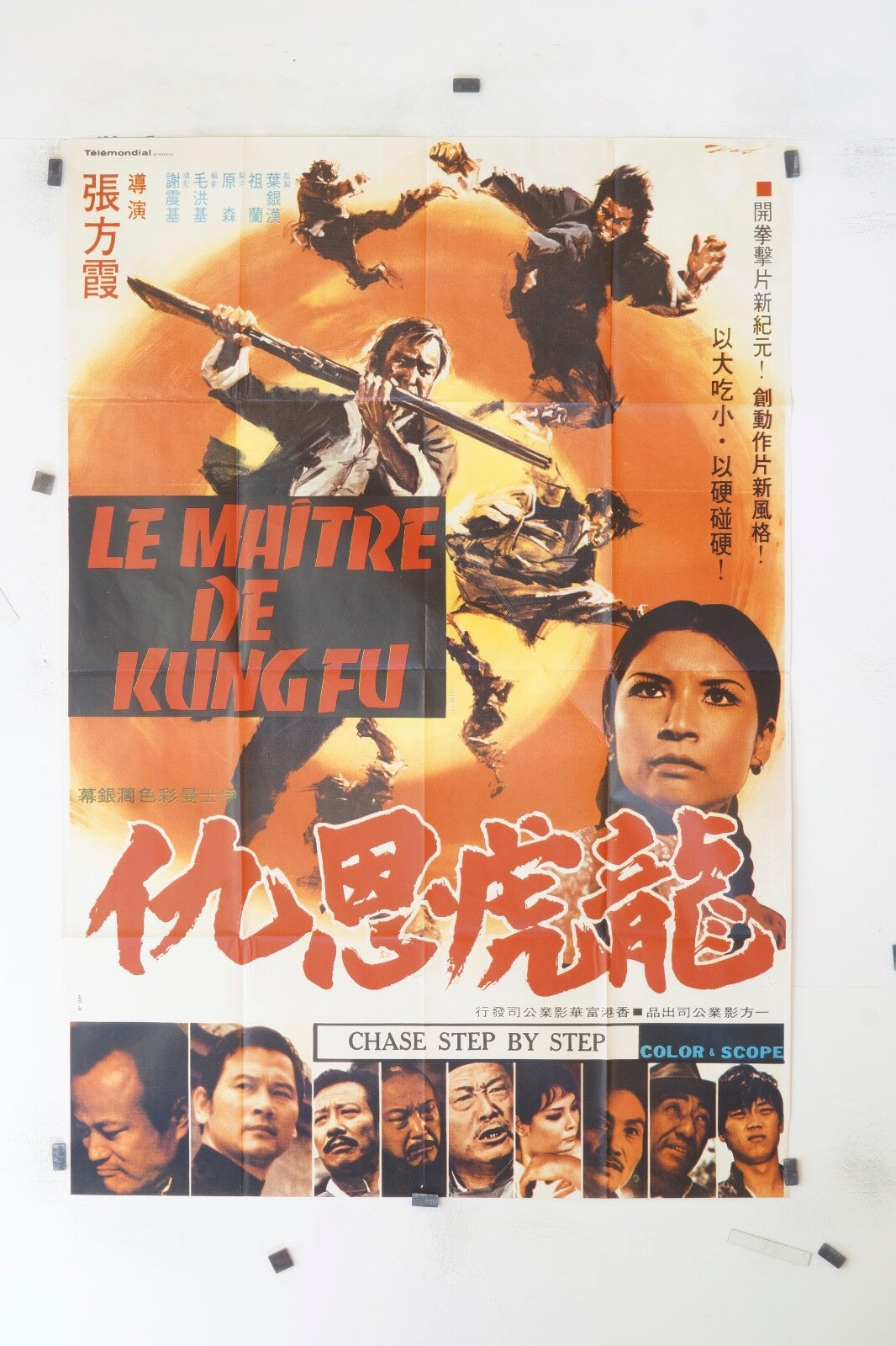 LE MAITRE DE KUNG FU ORIGINAL MOVIE POSTER 120x160