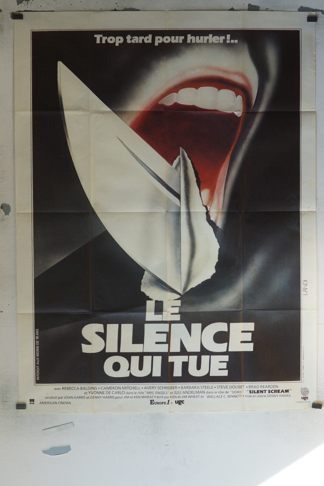 LE SILENCE QUI TUE MOVIE POSTER ORIGINAL 120x160 REBACCA BALDING