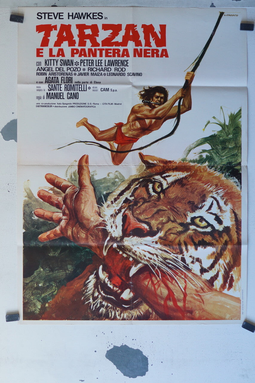 TARZAN E LA PANTERA NERA MOVIE POSTER 70x100 Kitty Swan , Peter lee Lawrence 