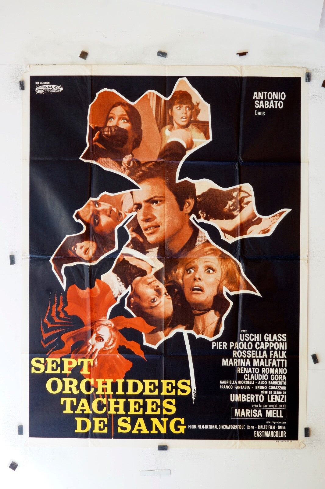 SEPT ORCHIDÉE TACHEES DE SANG MOVIE POSTER ORIGINAL 120x160