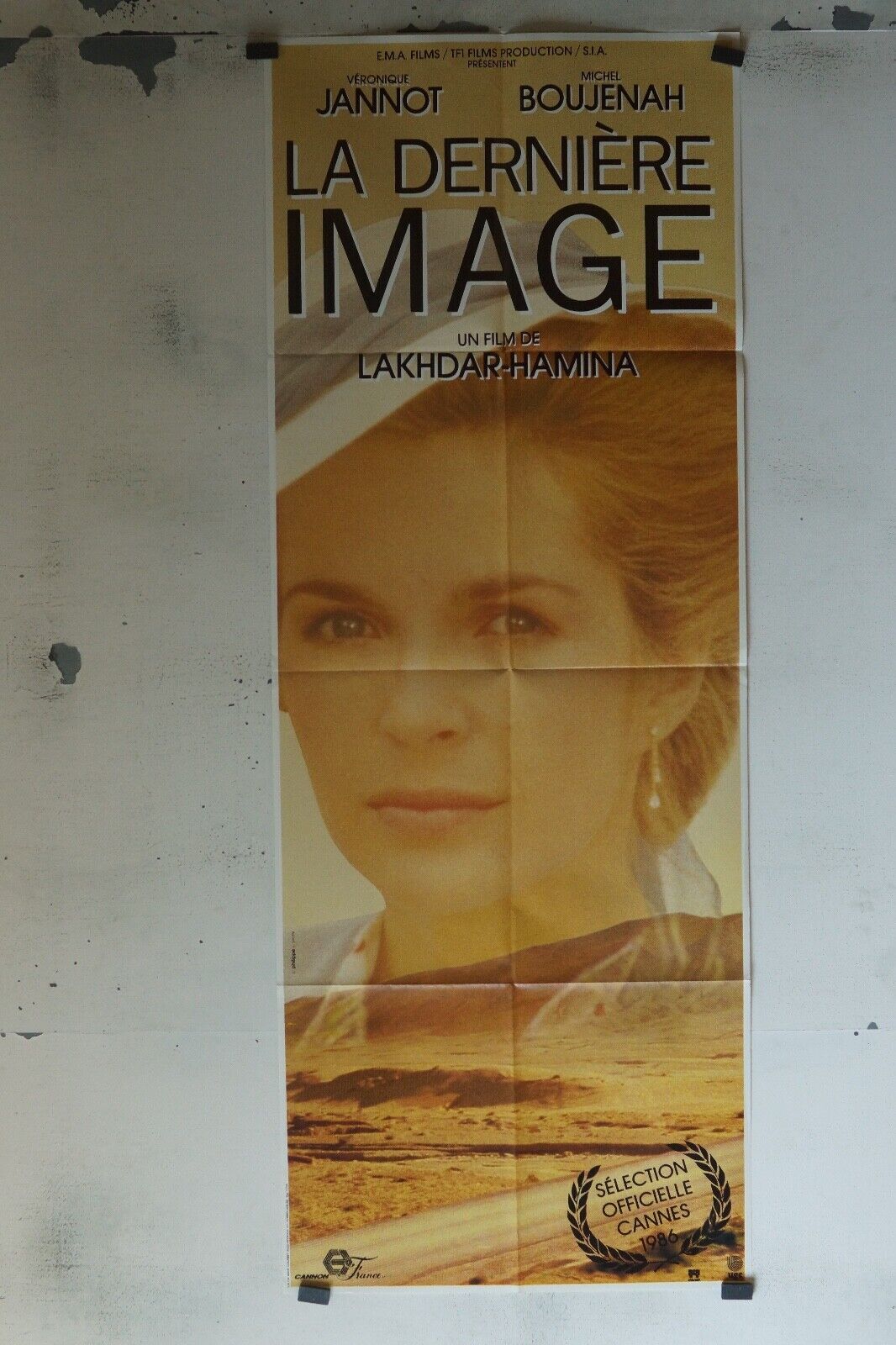 LA DERNIÈRE IMAGE ORIGINAL 60x160 VERONIQUE JANNOT