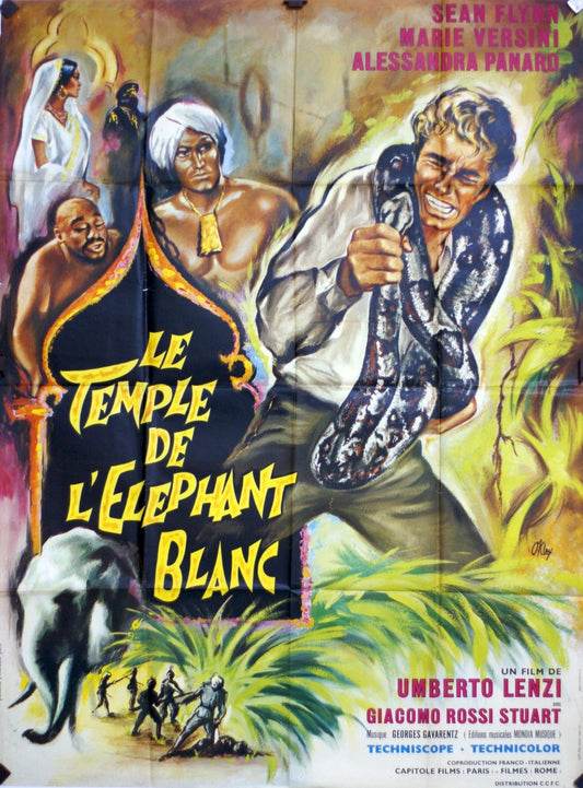 LE TEMPLE DE L’ÉLÉPHANT BLANC SEAN FLYNN MOVIE POSTER ORIGINAL 120x160