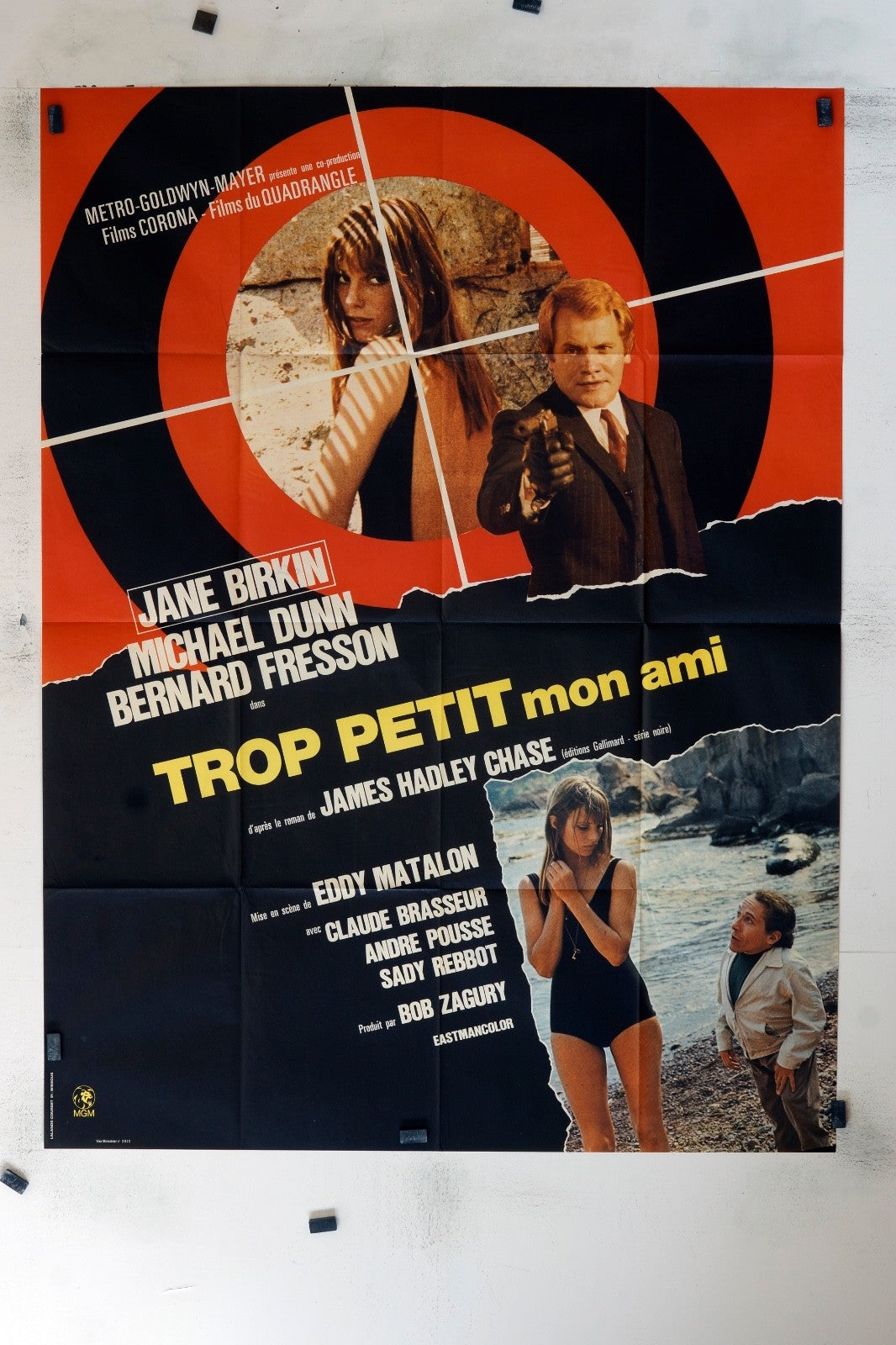 TROP PETIT MON AMI JANE BIRKIN ORIGINAL MOVIE POSTER 120x160