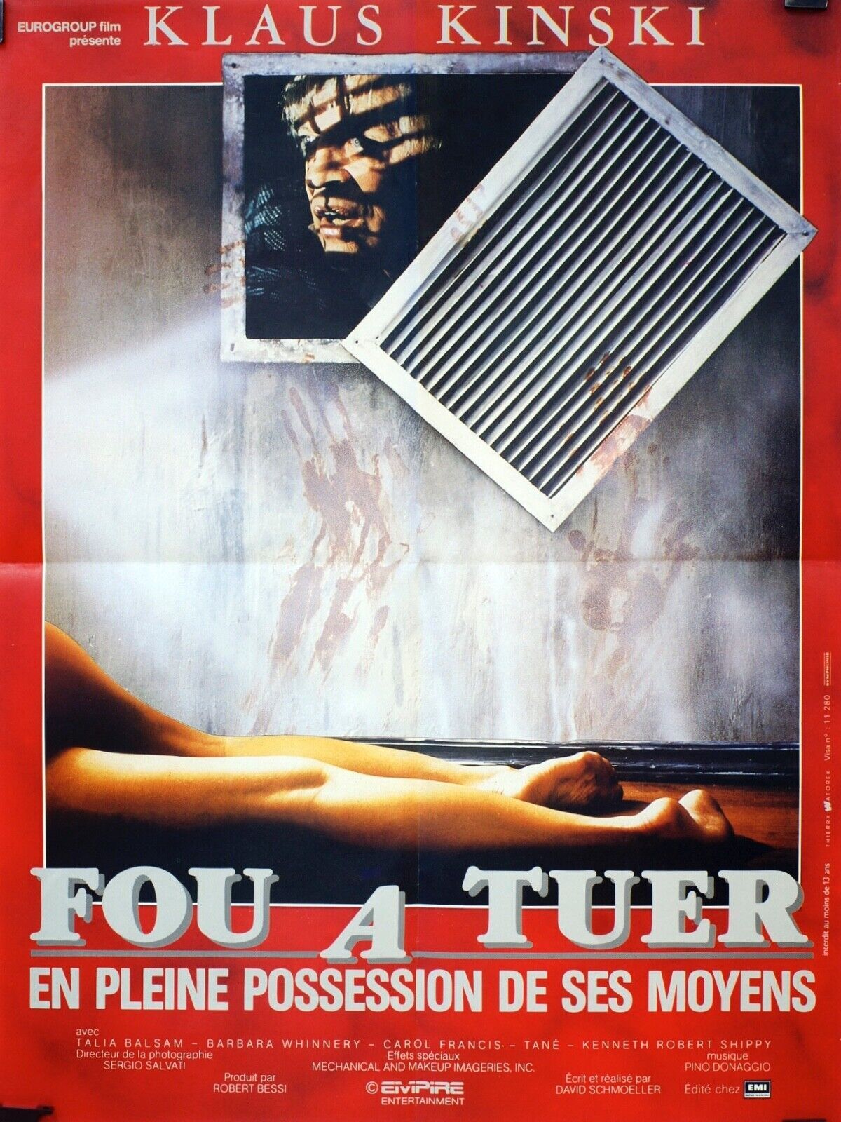 FOU A TUER ORIGINAL MOVIE POSTER 120X160 BRAD DAVIDIANE KEATON