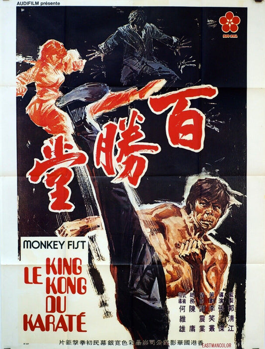KUNG FU A LA MANIÈRE DE BRUCE LEE, KARATÉ, ORIGINAL MOVIE POSTER 120x160
