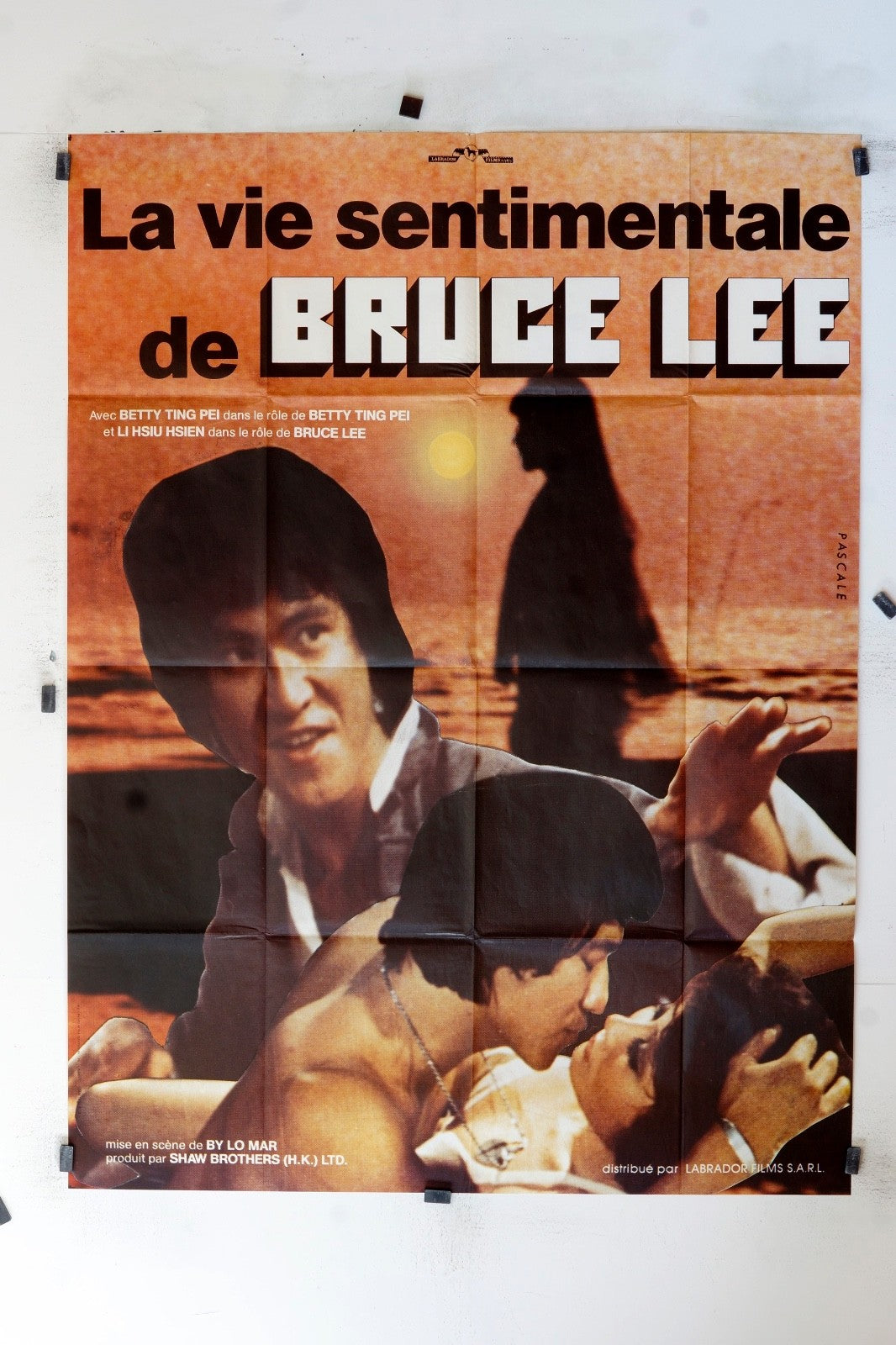 LA VIE SENTIMENTALE BRUCE LEE MOVIE POSTER ORIGINAL 120X160