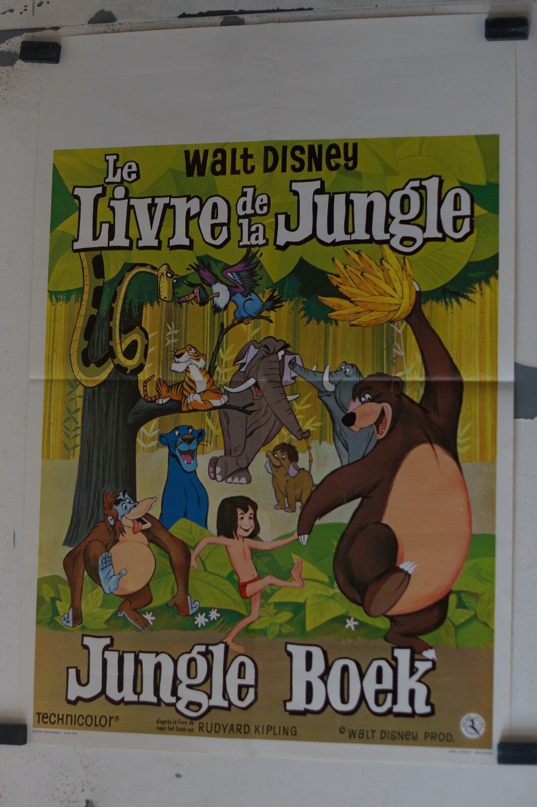 LIVRE DE LA JUNGLE (LE) ORIGINAL poster BELGE (50X70) , walt disney