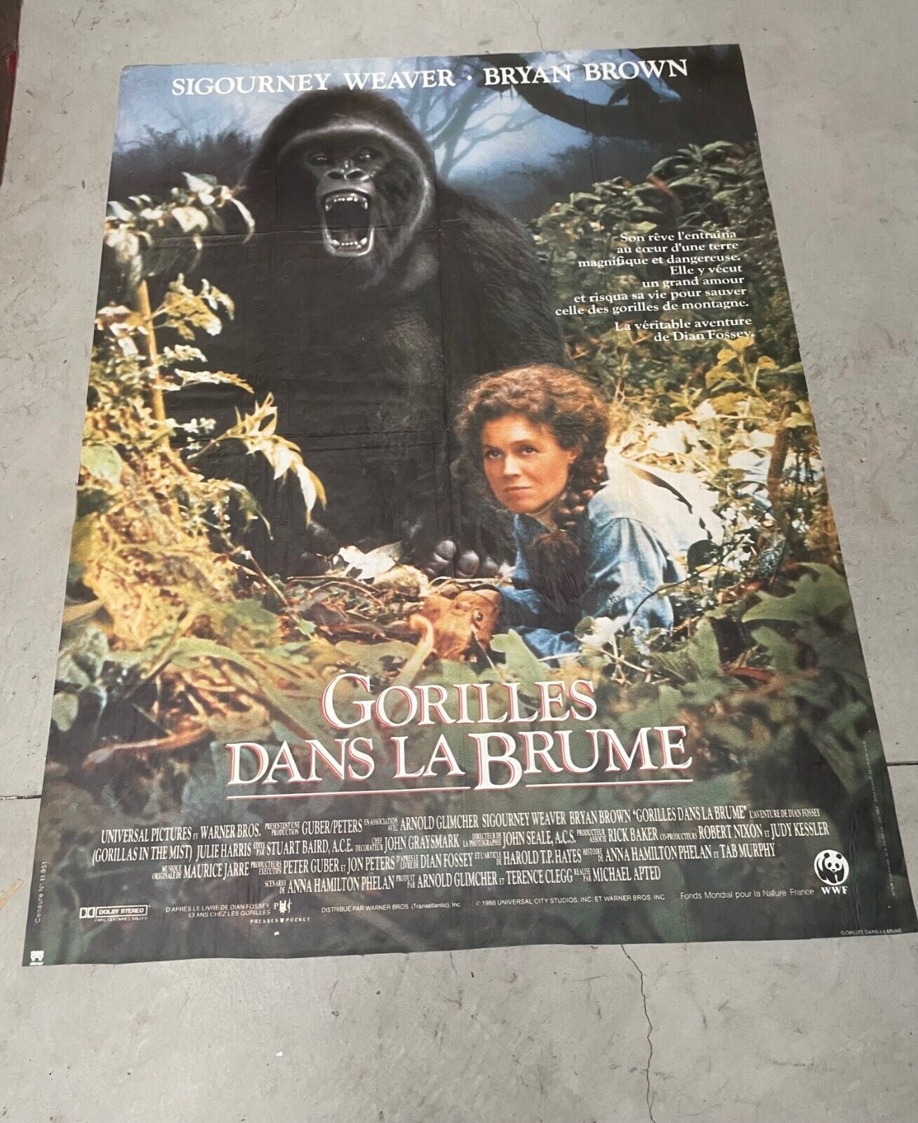GORILLES DANS LA BRUME ORIGINAL 120x160 SIGOURNEY WEAVER